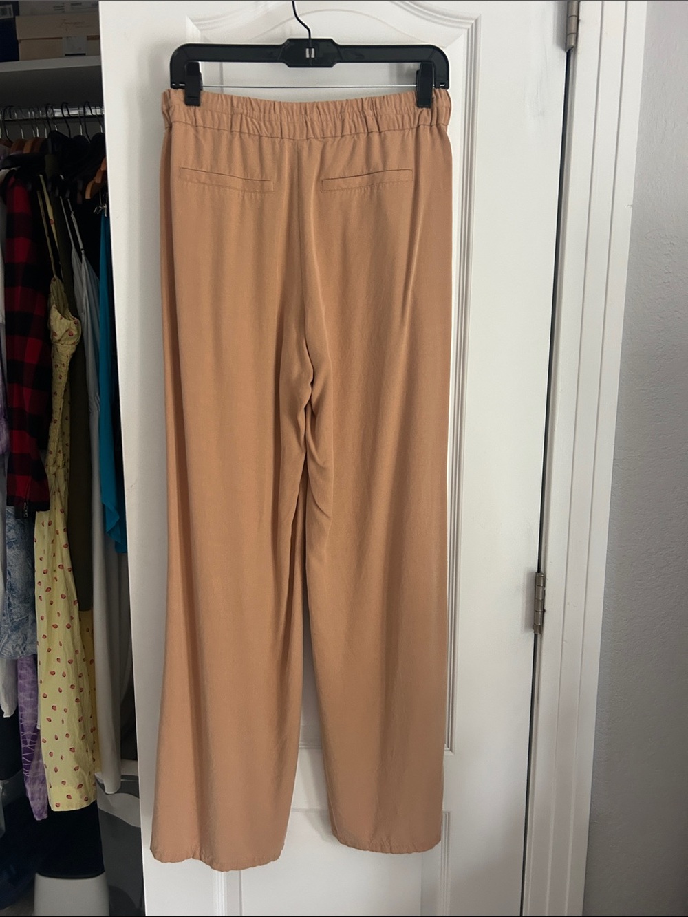 Paige Solynne tan pant - Picture 4 of 12